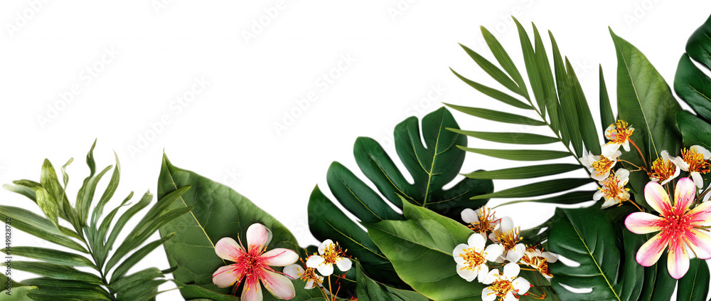 Fototapeta premium Exotic Tropical Floral and Flower Arrangement on Transparent Background