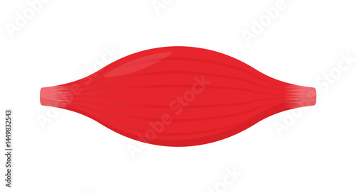 Red Muscle Flat Vector Design