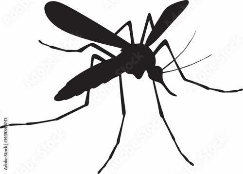 Detailed silhouette of a mosquito a common insect vector of disease shown in stark black against a plain white