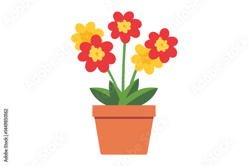 Red and yellow primrose flowers bloom vibrantly within a minimalist terracotta pot on white
