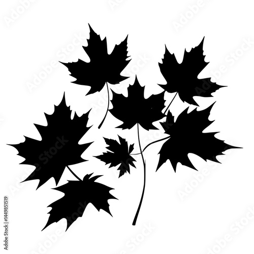 maple leaf vector