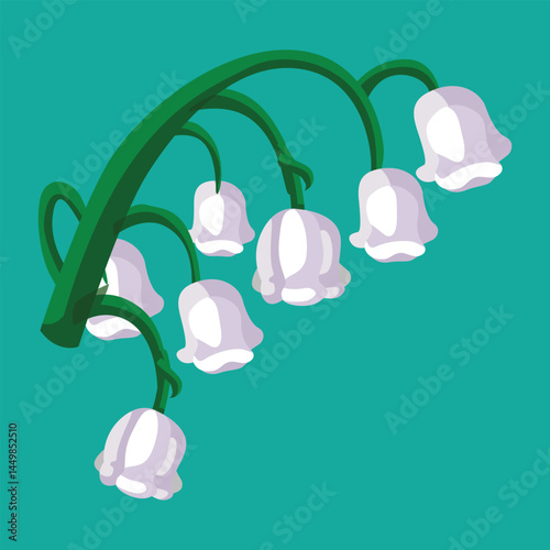 Realistic snowdrop flower
