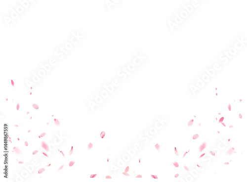 Flying pink petals transparent background. Beautiful floral  blossom rose cherry petals.   Backdrop of pink  petals isolated on a transparent