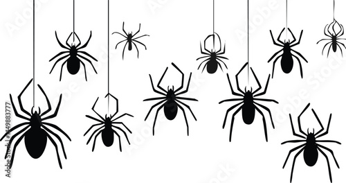 Vector Illustration of Black Spider Silhouettes Hanging from Threads on a White Background – Minimalist Halloween Design with Creepy Crawlers and Arachnid Theme

