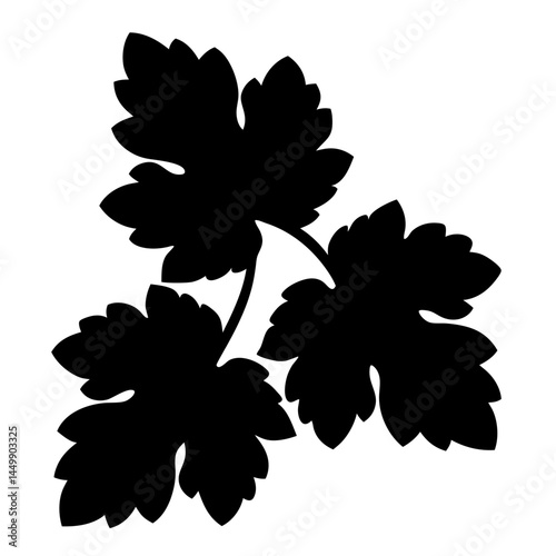 Elegant black silhouette of leaves with lobed edges and connecting stems