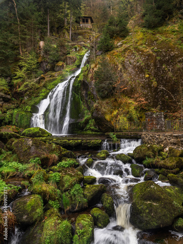 Triberg waterfalls - Triberger Wasserfälle