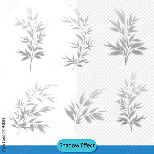 set of vector tree shadow