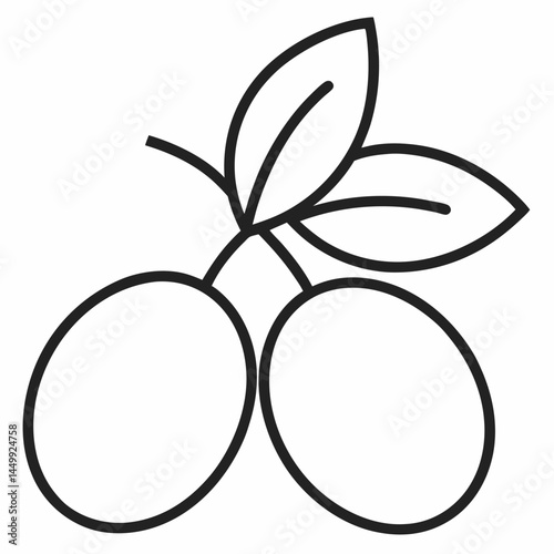 Olives outline icon on white background
