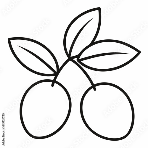Olives outline icon on white background
