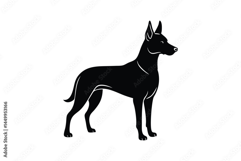 Silhouette art illustration of a Belgian Malinois.eps Silhouette art illustration of a Belgian Malinois.eps
