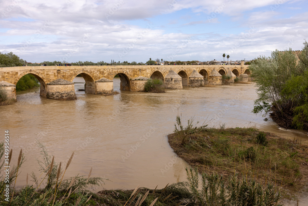 Fototapeta premium puente romano bridge in Cordoba, Spain