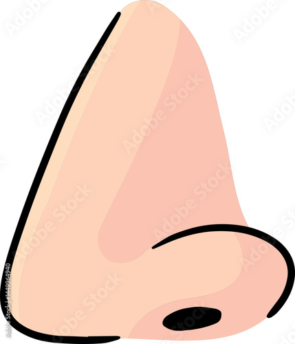 Illustration of nose
