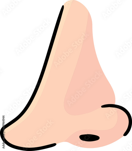 Illustration of nose
