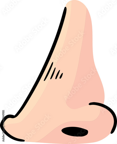 Illustration of nose
