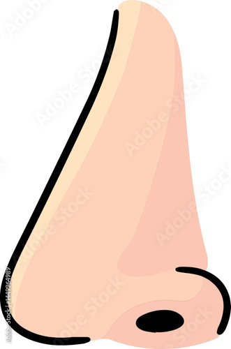 Illustration of nose
