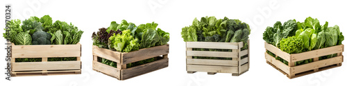 Crates of fresh, organic vegetables and greens in a farm setting.