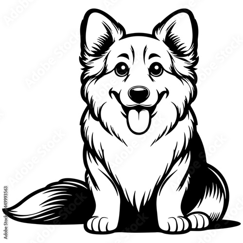 Welsh Corgi Dog Illustration.