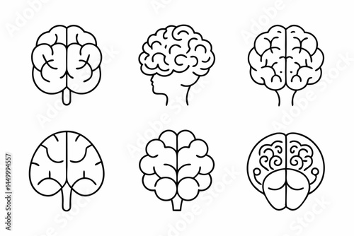 Diverse Human Brain Illustrations Representing Cognitive Functions