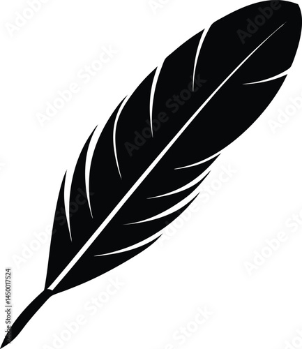 single feather isolated on white background  