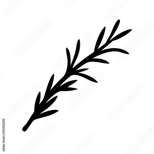 rosemary twig silhouette on transparent background for web and graphic design