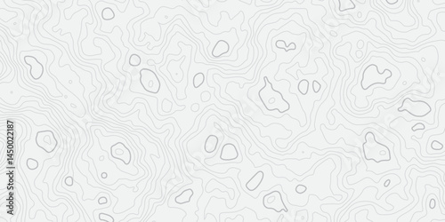 Abstract white topographic map background with lines, White wave paper curved reliefs abstract background,  The topographic map contour in lines isolated,  Background of the topography map.
