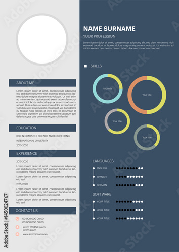 Infographic CV template. Classy employment interview CV. Simple applications resume, creative vector illustration design.