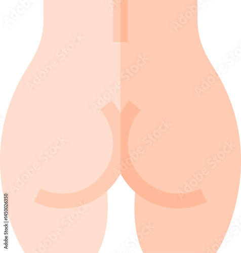 gluteus illustration on a white background 