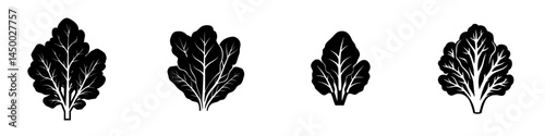 Various types of leafy greens displayed in a minimalist black and white design suitable for educational or culinary use