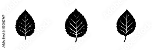 Leaf silhouettes showcasing intricate vein patterns against a plain background in a minimalistic style