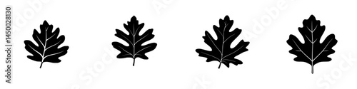 Black silhouettes of oak leaves arranged in a row on a white background showcasing seasonal beauty