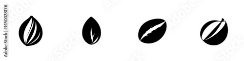 Variety of nut and seed shapes displayed in a simple black and white design for educational or decorative purposes