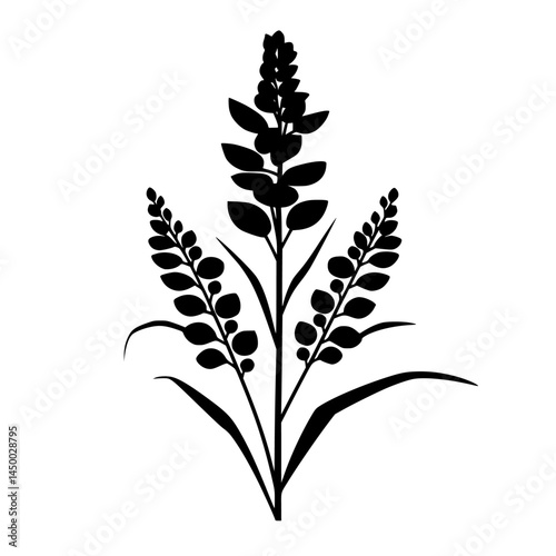 Illustration of a black silhouette of a flowering plant with elongated leaves set against a blank background