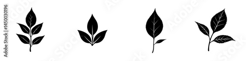 Various leaf silhouettes arranged in a decorative pattern suitable for nature-themed designs or illustrations
