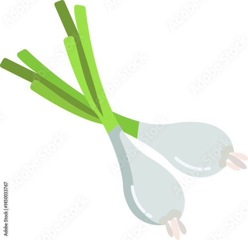green onion illustration on a white background 