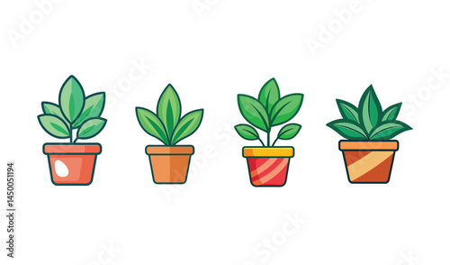 green plant in a pot