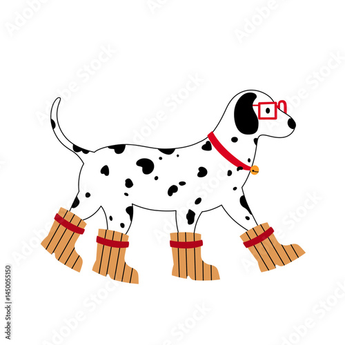 Cute Dalmatian Boots vector for t shirt