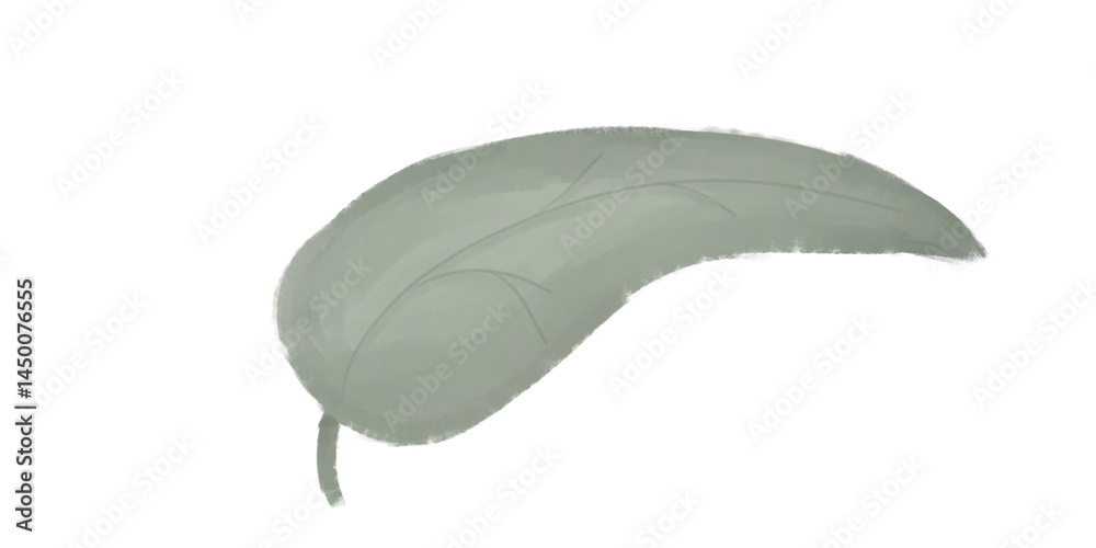 art of leaves isolate on png background