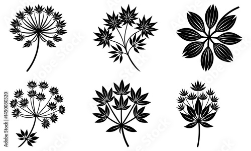 Cumin silhouette vector