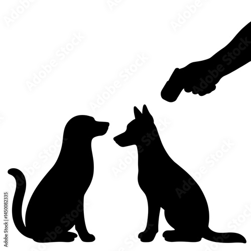 Microchip scanner checking pet's ID in veterinary clinic, pet care