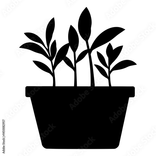 Silhouette of seedlings growing in pot, agribusiness concept