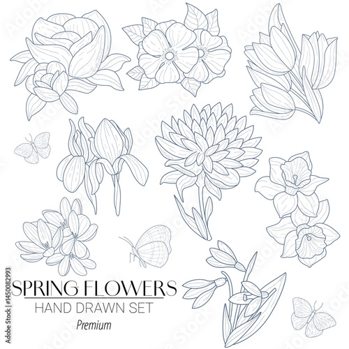 Hand-drawn vector set featuring spring flowers like tulips, daffodils, crocuses, hyacinths, and cherry blossoms. Ideal for seasonal decor, wedding design, and stationery.