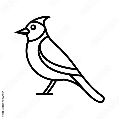 Blue Jay Line Art Vector photo