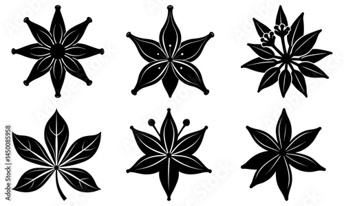 Clove silhouette vector