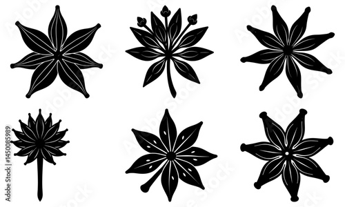 Clove silhouette vector