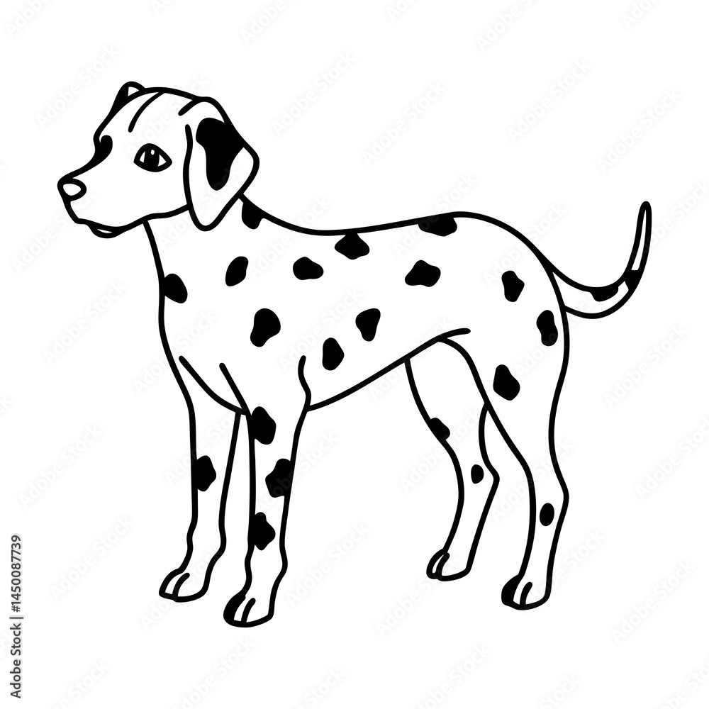 Fototapeta premium Dalmatian with Implied Spots Line Sketch