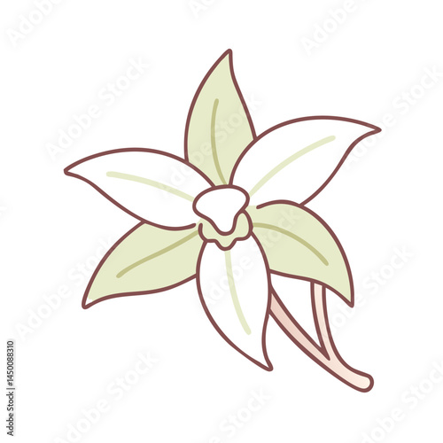 Vanilla Icon Flower Bean Flavor Ingredient Transparent Background