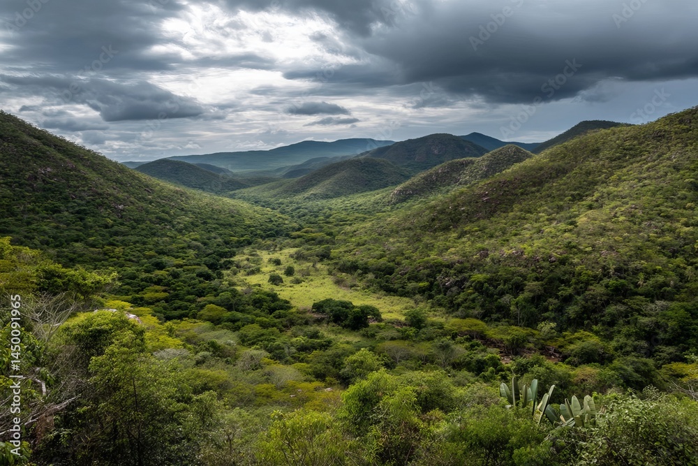 Fototapeta premium A breathtaking view of a verdant valley surrounded by mountains under a moody sky.