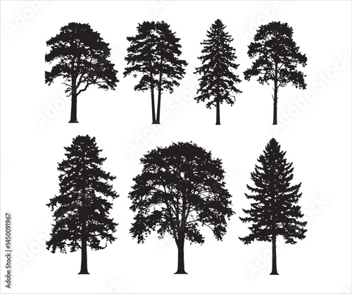 Elaborate tree shapes displayed on a white surface