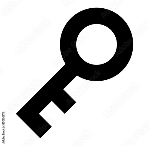 key icon vector 