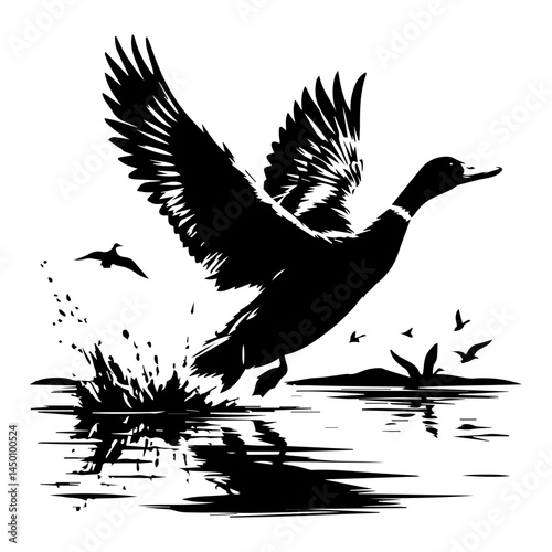 A black and white silhouette of a goose that flaps its wings and takes off from a pond, thereby creating splashes on the water. The drake duck takes off on a white isolated background. Vector graphics